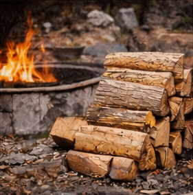 fire pit wood image